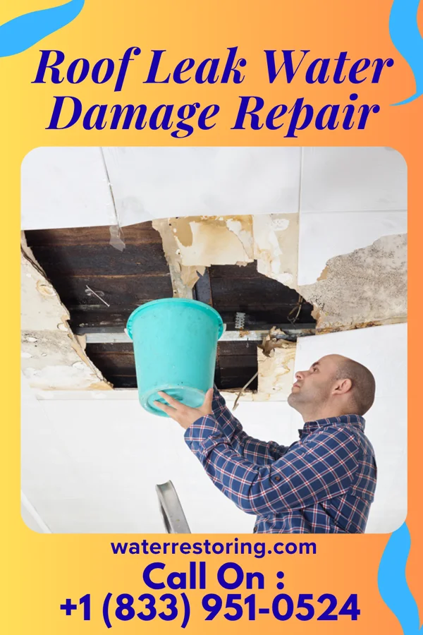 Roof Leak Water Damage Repair in Ashland, OK